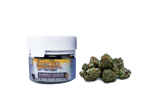 THCA Flower Purple Gusher